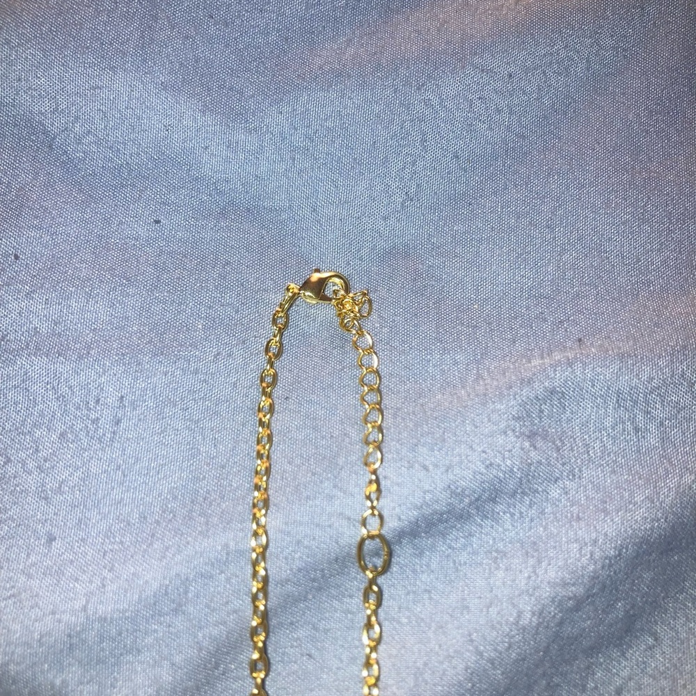 San Francisco 49ers Gold-Tone Fortune Pendant Necklace - Picture 3 of 4